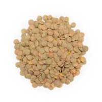 GREEN LENTILS OG 500G