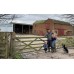 EGGS HUNGRY LANE FARM LOCAL!!!!