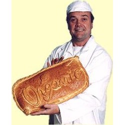 PAULS SEEDED ROLLS ORGANIC PAULS SEEDED ROLLS ORGANIC