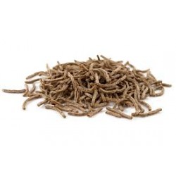 OOTW BRAN STICKS ORGANIC OOTW BRAN STICKS ORGANIC