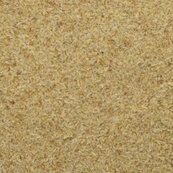 PSYLLIUM HUSK ORGANIC