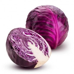 CABBAGE RED  ORGANIC