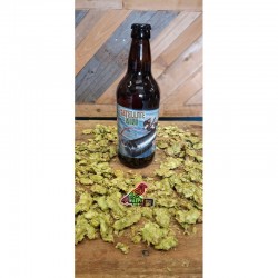 SATELLITE MIND GLUTEN FREE PALE ALE