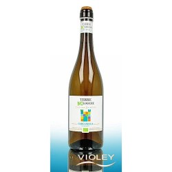 MONT ALBANO GARGANEGA FRIZZANTE