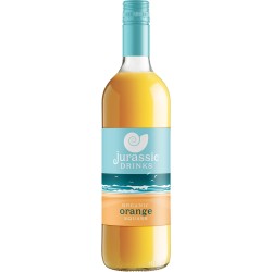 ORANGE SQUASH ORGANIC ORANGE SQUASH ORGANIC