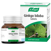GINKGO BILOBA ONE A DAY GINKGO BILOBA ONE A DAY