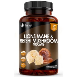 LIONS MANE & REISHI MUSHROOMS