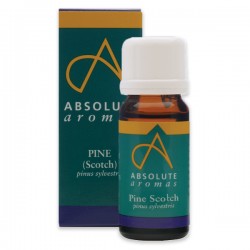 SCOTCH PINE                   10ML