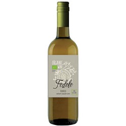 CATARRATTO PONOT GIGIO ORGANIC WINE