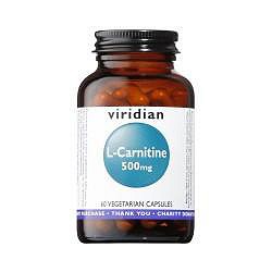 L-CARTININE 500MG