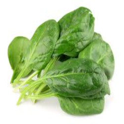 SPINACH LEAVES ORGANIC