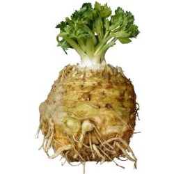CELERIAC ORGANIC WASHED