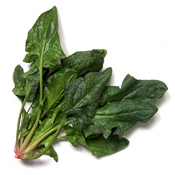 SPINACH BABY LEAVES ORGANIC