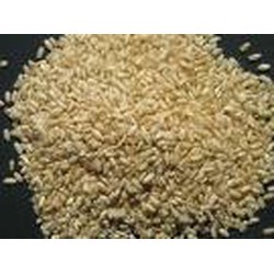 LONG GRAIN RICE ORGANIC       500G