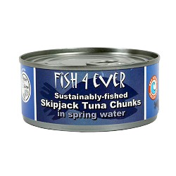 TUNA CHUNKS IN WATER