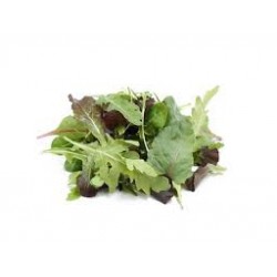 SALAD PEPPERY MIX ORGANIC